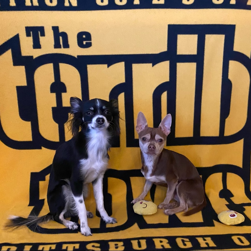 Meet your Posher, Lisette